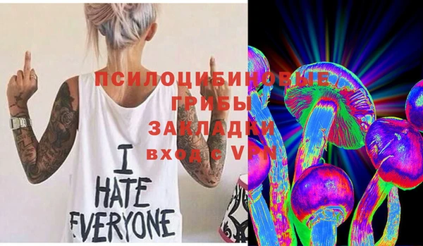 дживик Алзамай